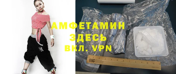 ГАЛЛЮЦИНОГЕННЫЕ ГРИБЫ Ельня