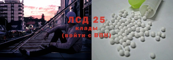 ГАЛЛЮЦИНОГЕННЫЕ ГРИБЫ Ельня