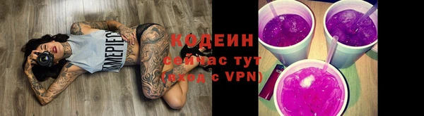 соль ск Елабуга