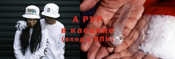 ГАЛЛЮЦИНОГЕННЫЕ ГРИБЫ Ельня