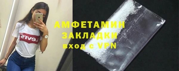 ГАЛЛЮЦИНОГЕННЫЕ ГРИБЫ Ельня