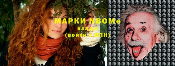 ГАЛЛЮЦИНОГЕННЫЕ ГРИБЫ Ельня