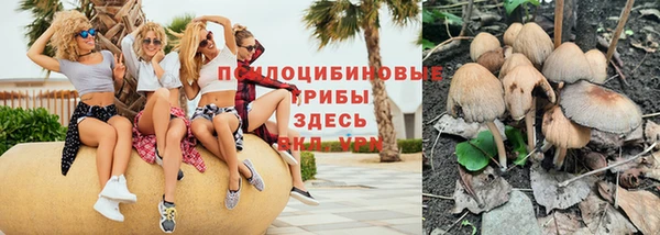 ГАЛЛЮЦИНОГЕННЫЕ ГРИБЫ Ельня