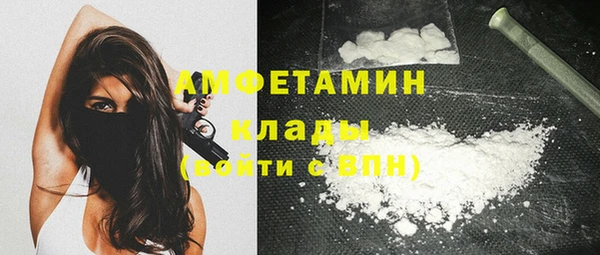 ГАЛЛЮЦИНОГЕННЫЕ ГРИБЫ Ельня