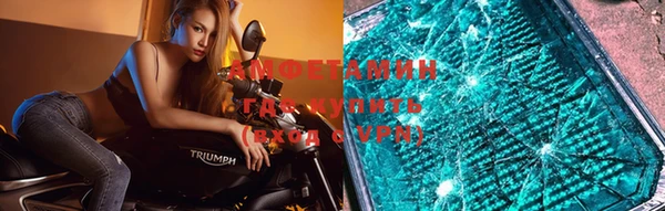 ГАЛЛЮЦИНОГЕННЫЕ ГРИБЫ Ельня