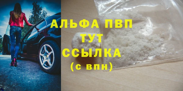 ГАЛЛЮЦИНОГЕННЫЕ ГРИБЫ Ельня