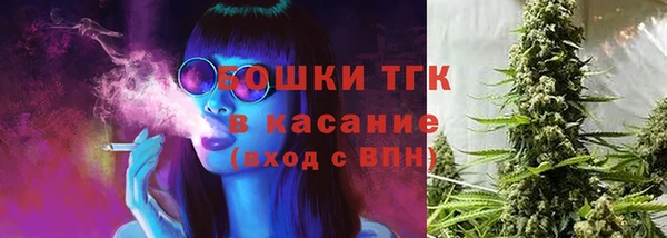 ГАЛЛЮЦИНОГЕННЫЕ ГРИБЫ Ельня